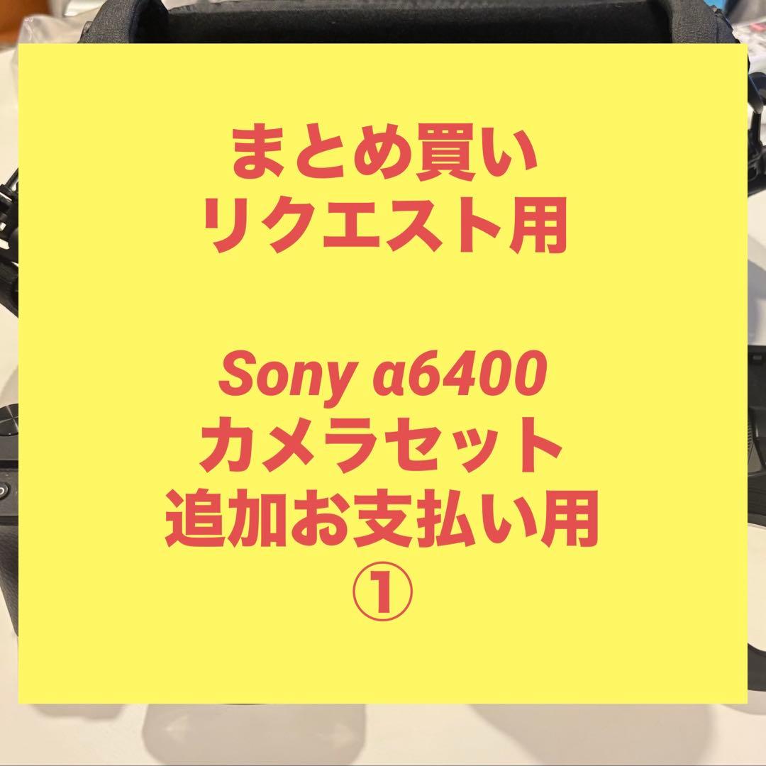 カメラセット　追加お支払い用① NHZA-W61G NHZN-W61G NSZT-W61G NSCT-W61 バックカメラ 4P 接続