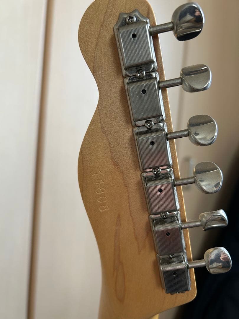 momose MTC2-LTD/NJ BLKテレキャスターカスタム アヘフトシ風