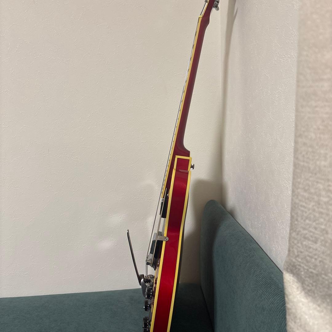 Ibanez アイバニーズ Light様