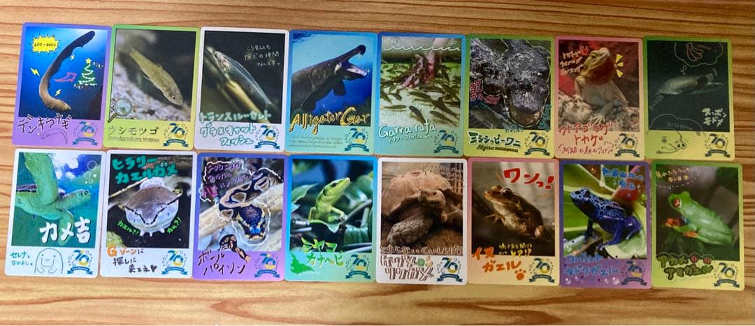 鳥羽水族館70周年記念コレクションカード72種 コンプリートセット