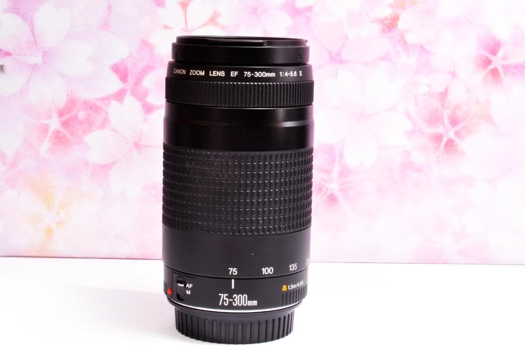 ブヒブヒ♡❤️300mm超望遠レンズ❤️ CANON EF 75-300mm Amazon.com : Canon EF 75-300mm f/4-5.6 III Telephoto Zoom Lens