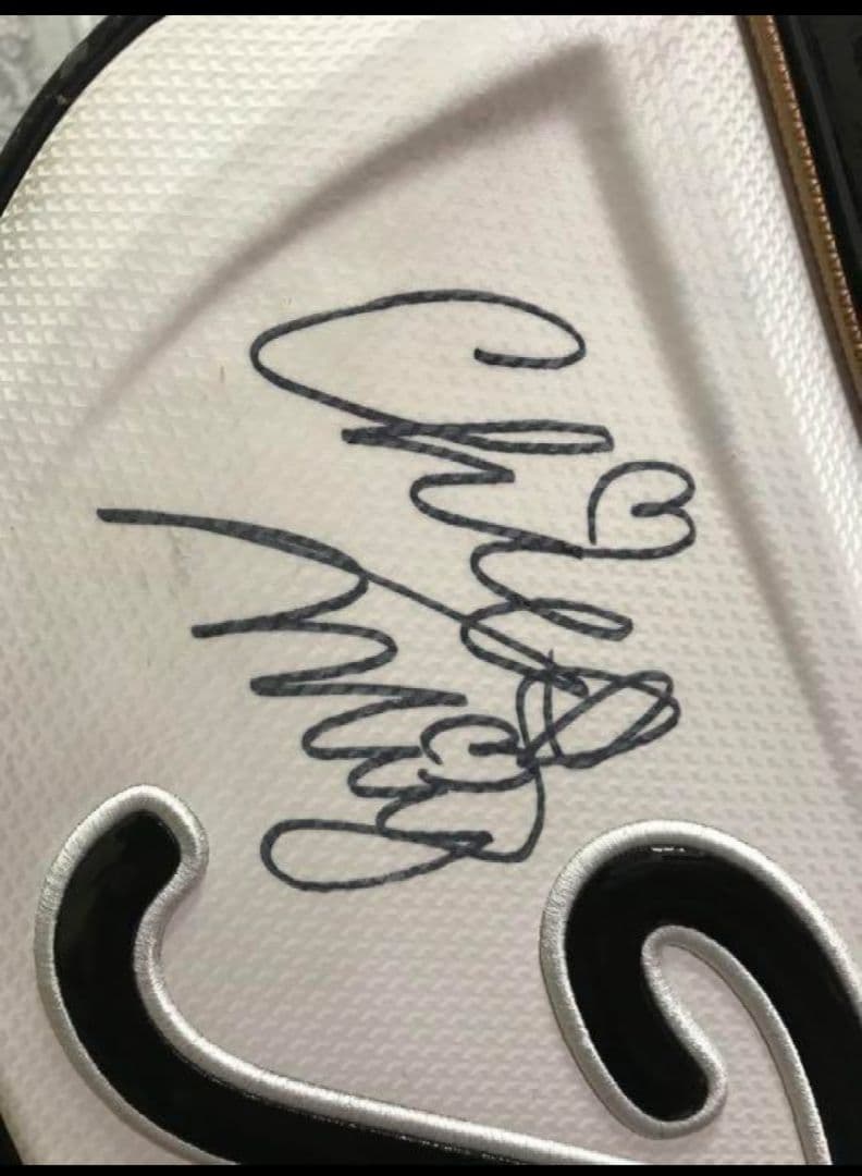 ☆希少・限定☆プロV1記念モデル☆ タイトリスト キャディバッグ CB5V1