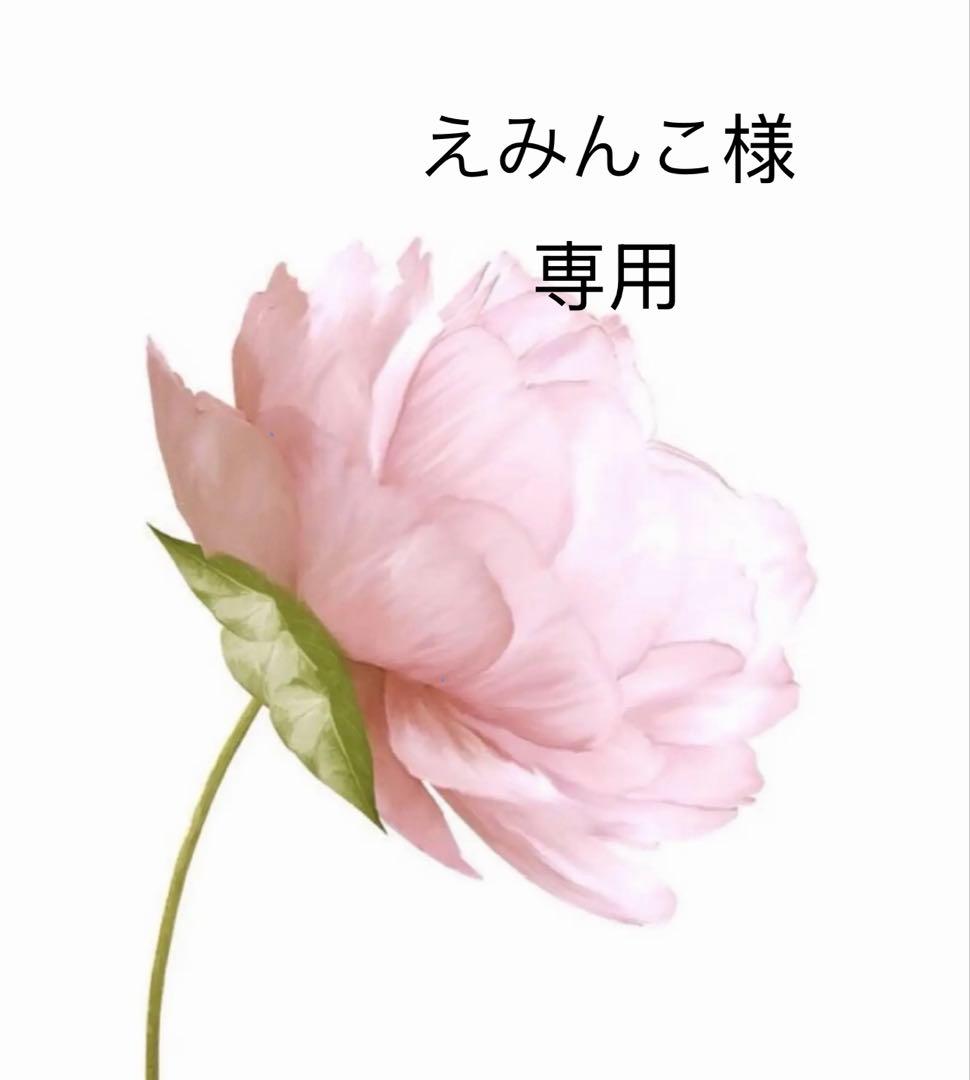 えみんこ 71DiOkzP6tL._AC_UL210_SR210,