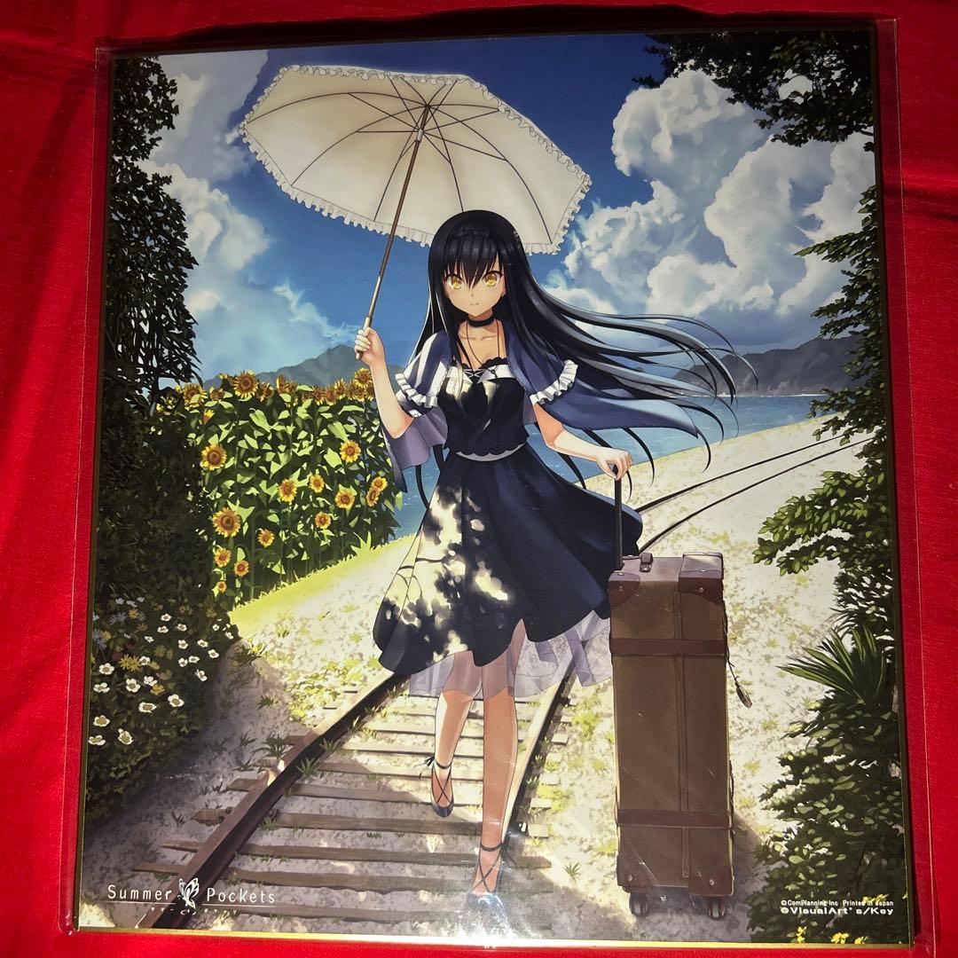 サマーポケッツ　しろは　蒼　鴎　紬　色紙　サマポケ