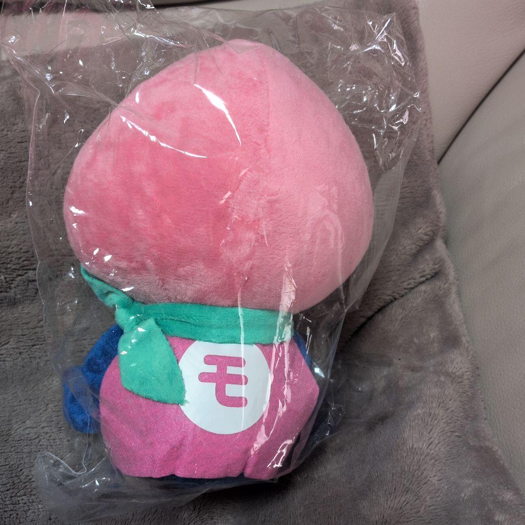 新品 激レア モモずきん 山梨 ぬいぐるみ