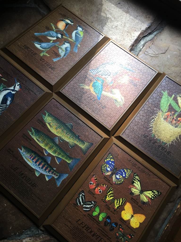 ＊DOM SPACE DESIGN ＊