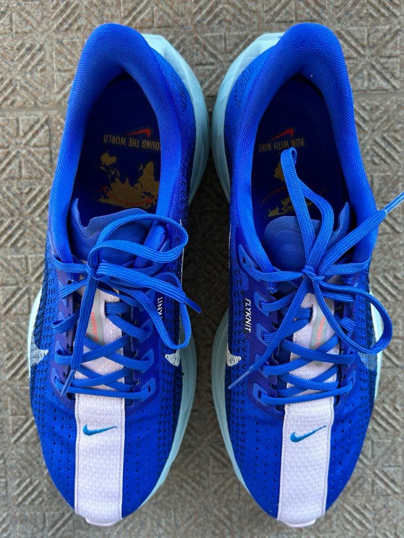 ペガサスプラス　27.0cm