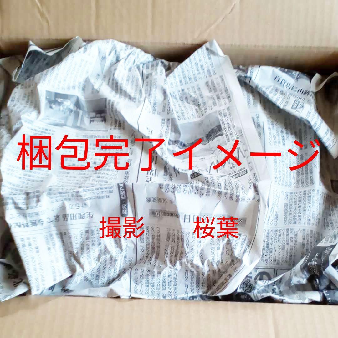 機動戦士ガンダムuc ガンプラ mg ジェスタキャノン　内袋未開封　未組立