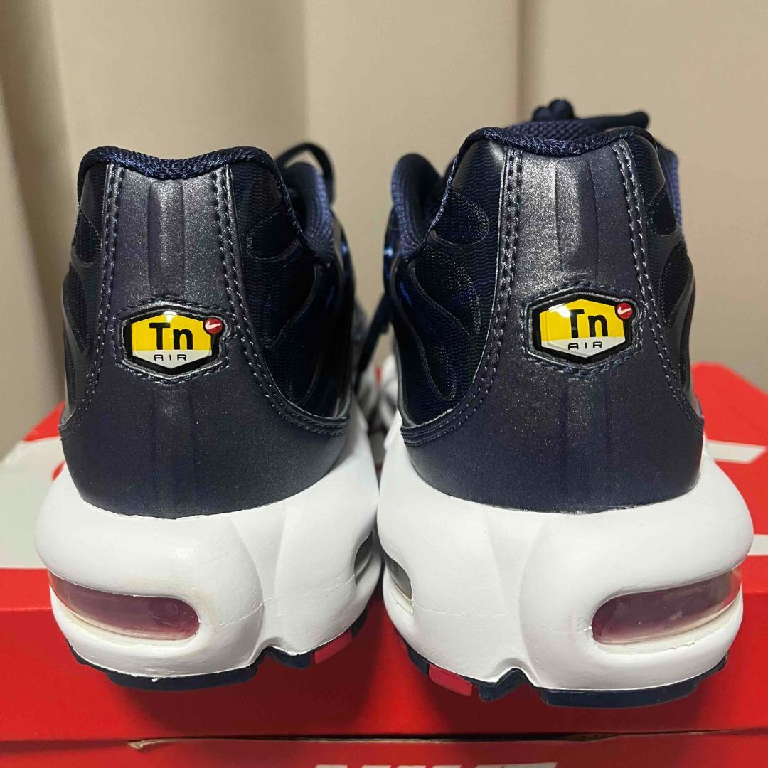 NIKE AIR MAX PLUS 28.0cm HV2323-400 マップラ