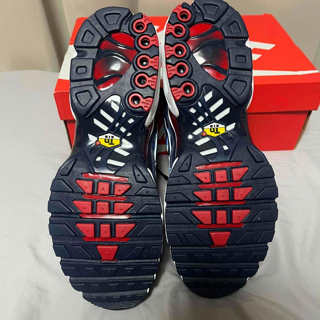 NIKE AIR MAX PLUS 28.0cm HV2323-400 マップラ