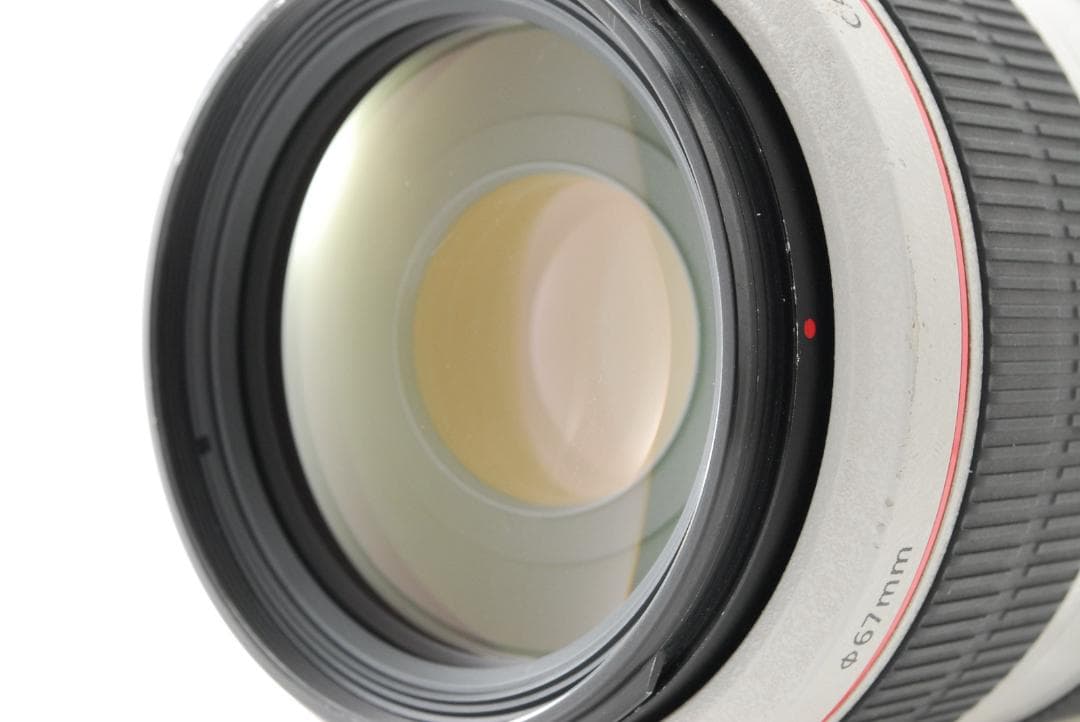 キヤノン Canon EF 70-300mm F4.5-5.6 L USM