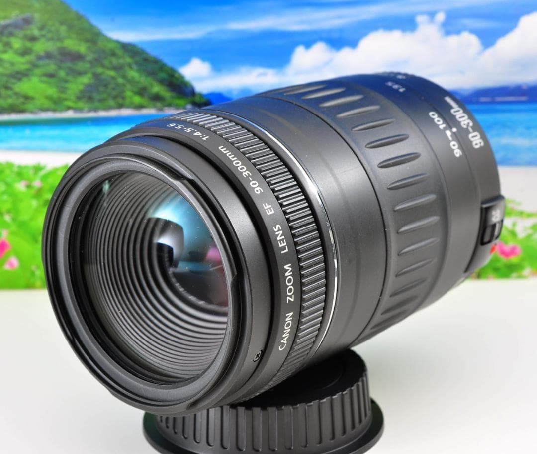 キャノン Canon EF 90-300mm F4.5-5.6 望遠レンズ