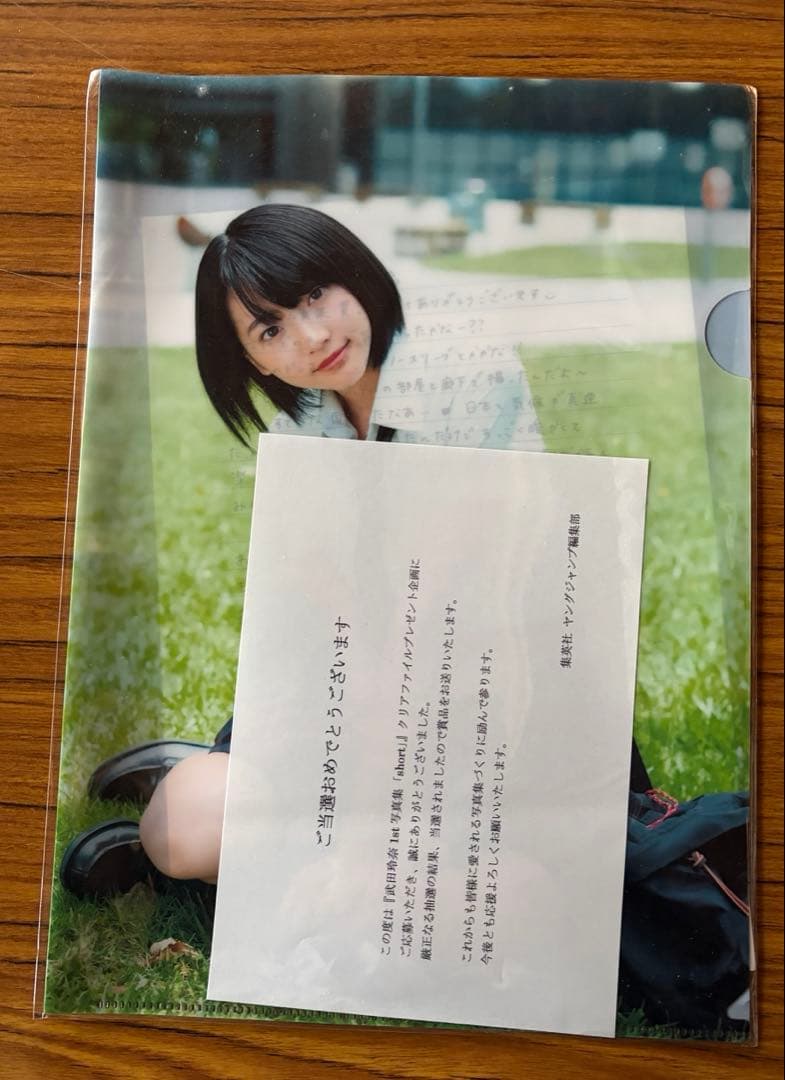 武田玲奈 クリアファイルセット