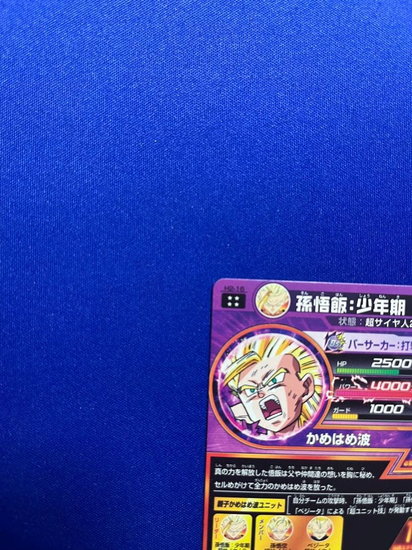 H2-16 孫悟飯:少年期 本家