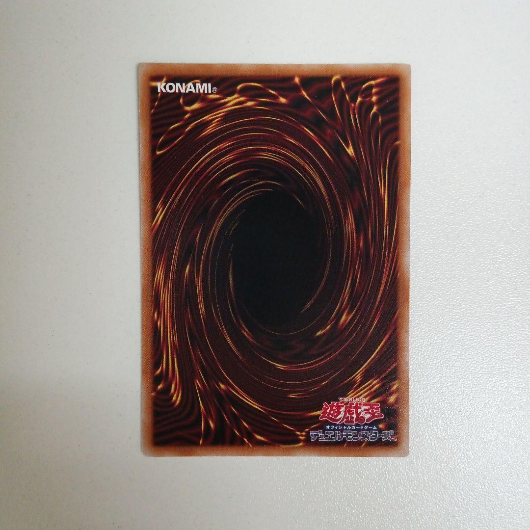 遊戯王 大輪の霊使い プリシク