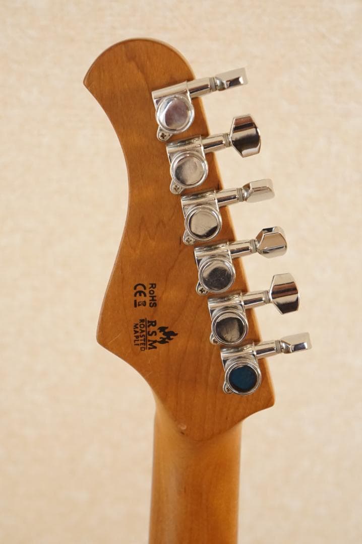 ギター Bacchus / TACTICS-CTM25