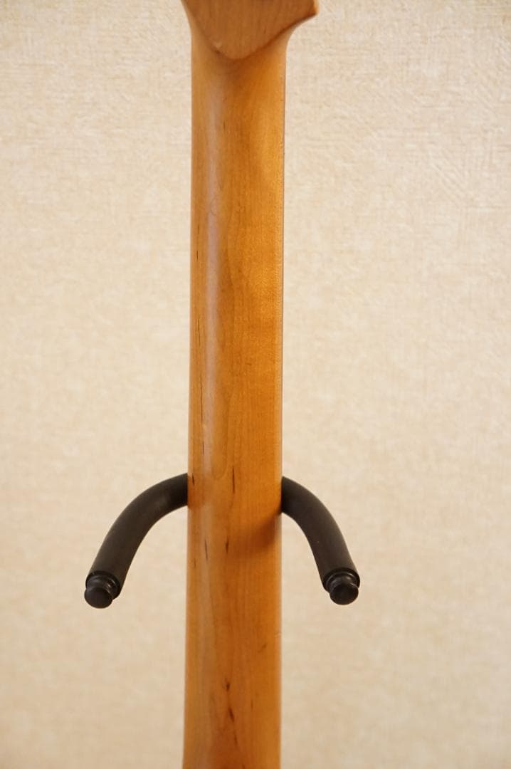 ギター Bacchus / TACTICS-CTM25