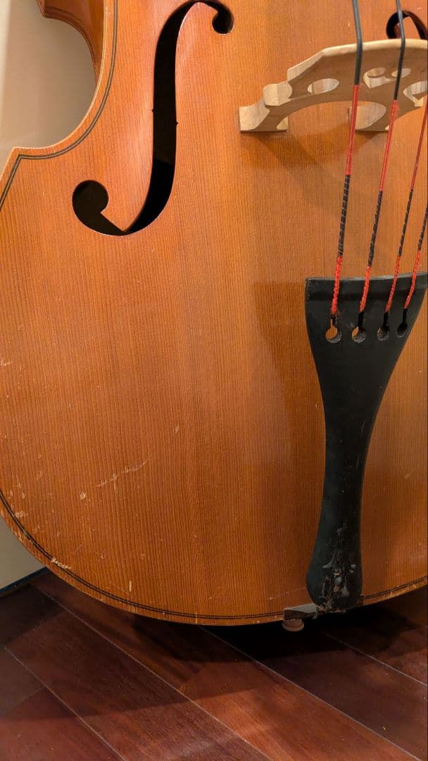 コントラバス クレモナ No.80 黒弦 - メルカリ