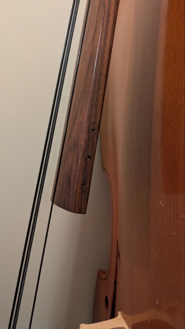 コントラバス クレモナ No.80 黒弦 - メルカリ