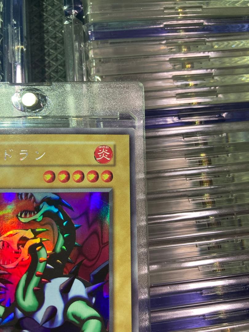 ⭐︎一軍コレクション⭐︎遊戯王 ヤマドラン 初期ウルシク