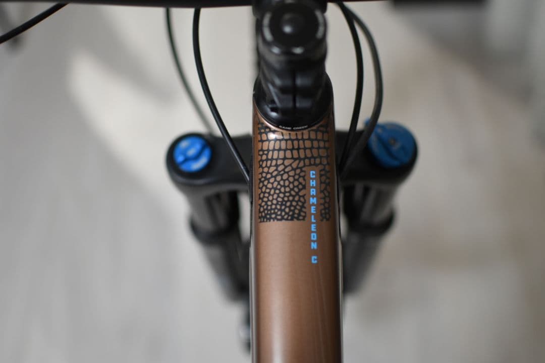 関東 手渡し 送料込み】SANTACRUZ CHAMELEON CARBON - メルカリ