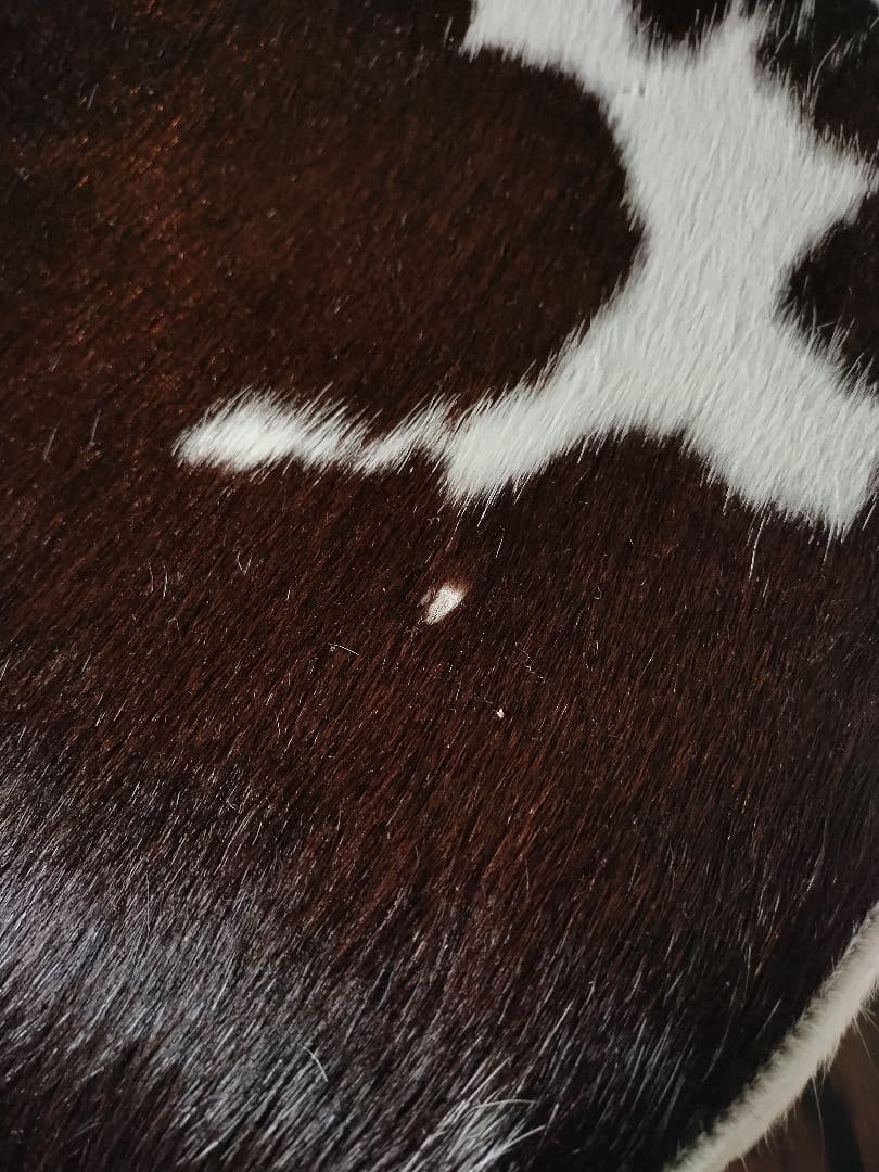 専用IKEA 牛革ハラコスツール - メルカリ