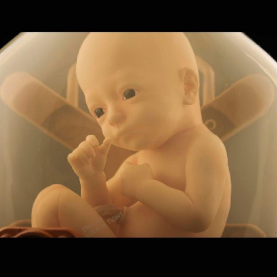 デスストランディングBBPOD with ブリッジベイビー 1/1Likever