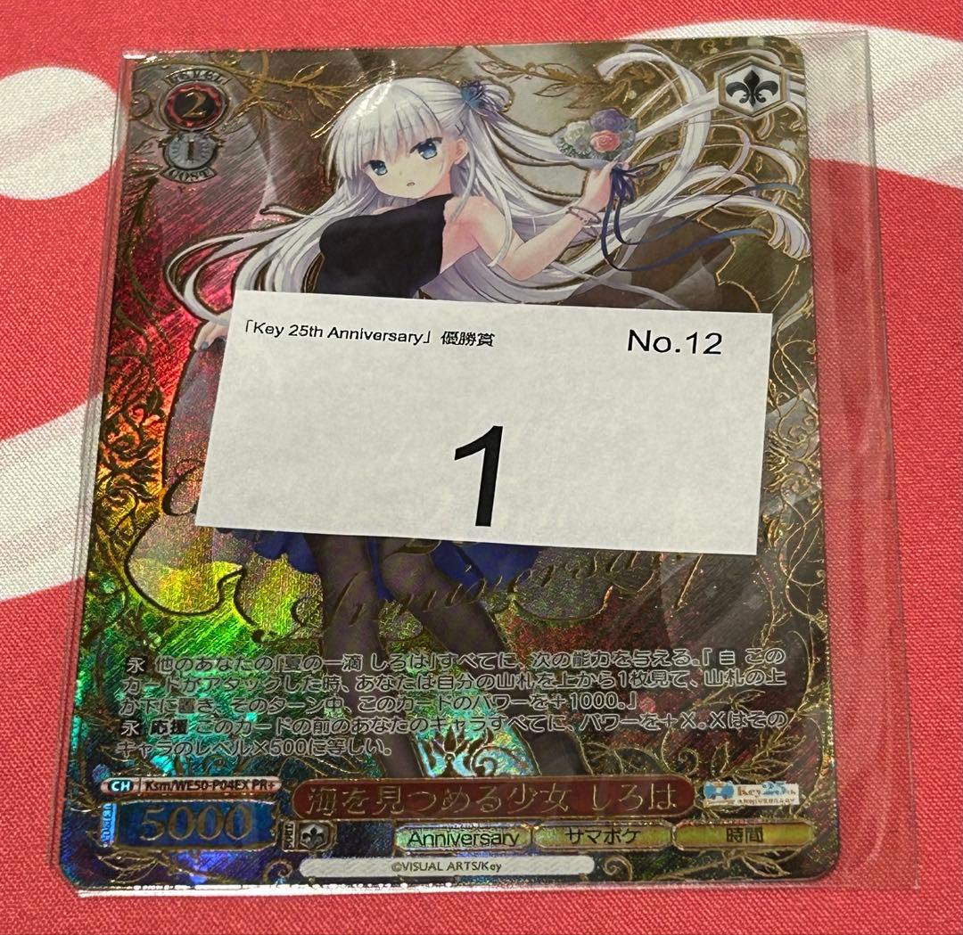 ヴァイスシュヴァルツ 海を見つめる少女 しろは PR＋ - メルカリ