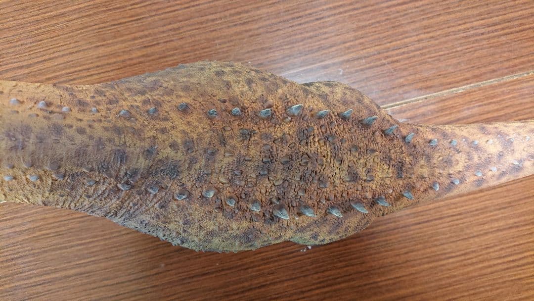 haoronggood アルゼンチノサウルス フィギュア