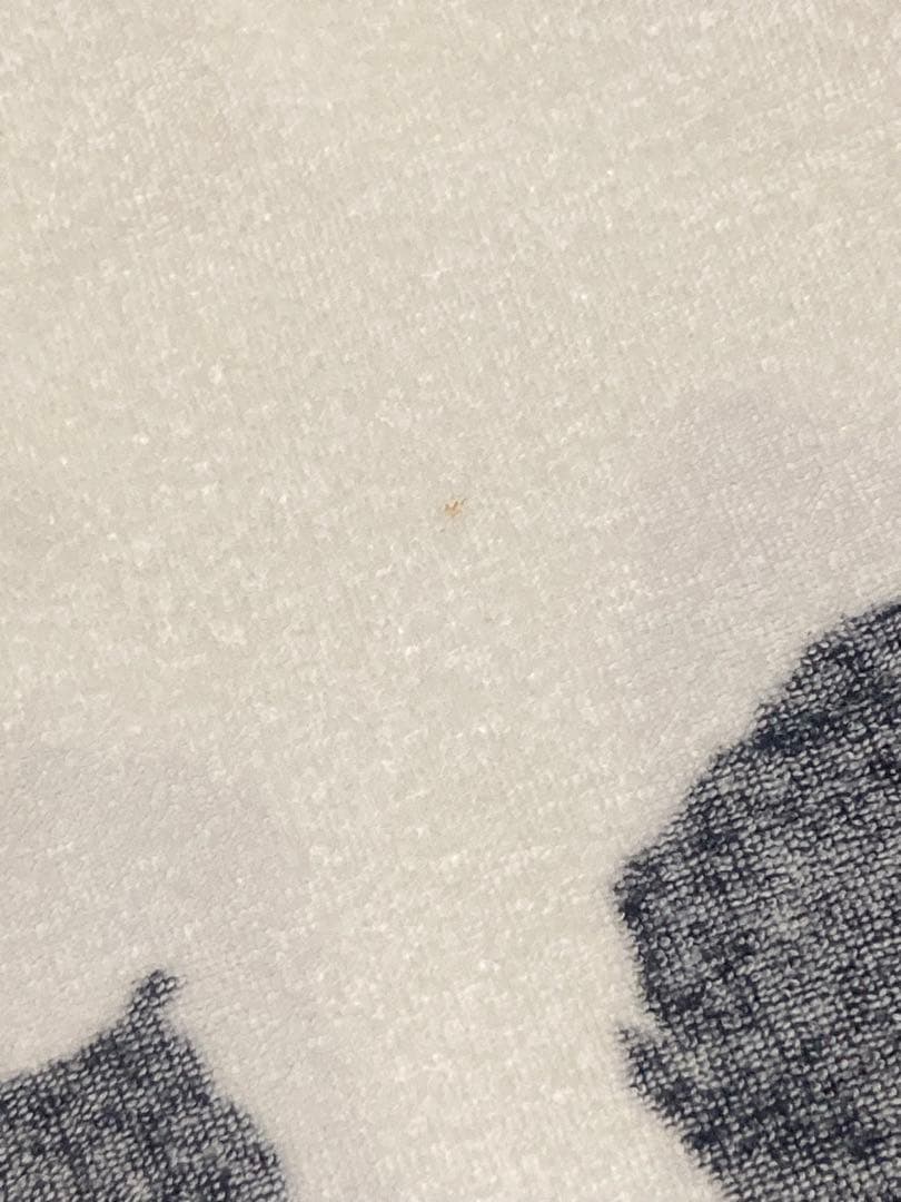 矢沢永吉☆☆☆フデ文字SBT☆☆☆【プレゼン無し】