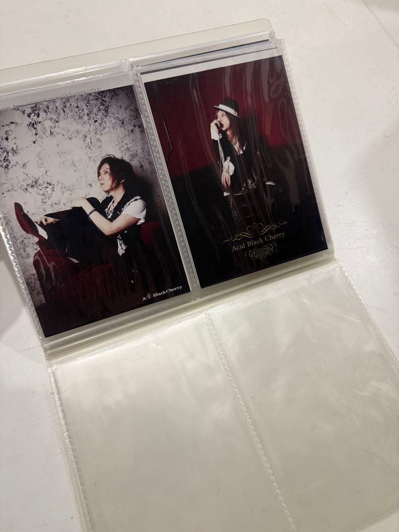 あ*ゆ様 【レア】Acid Black Cherry ポスカセット 48枚 非売