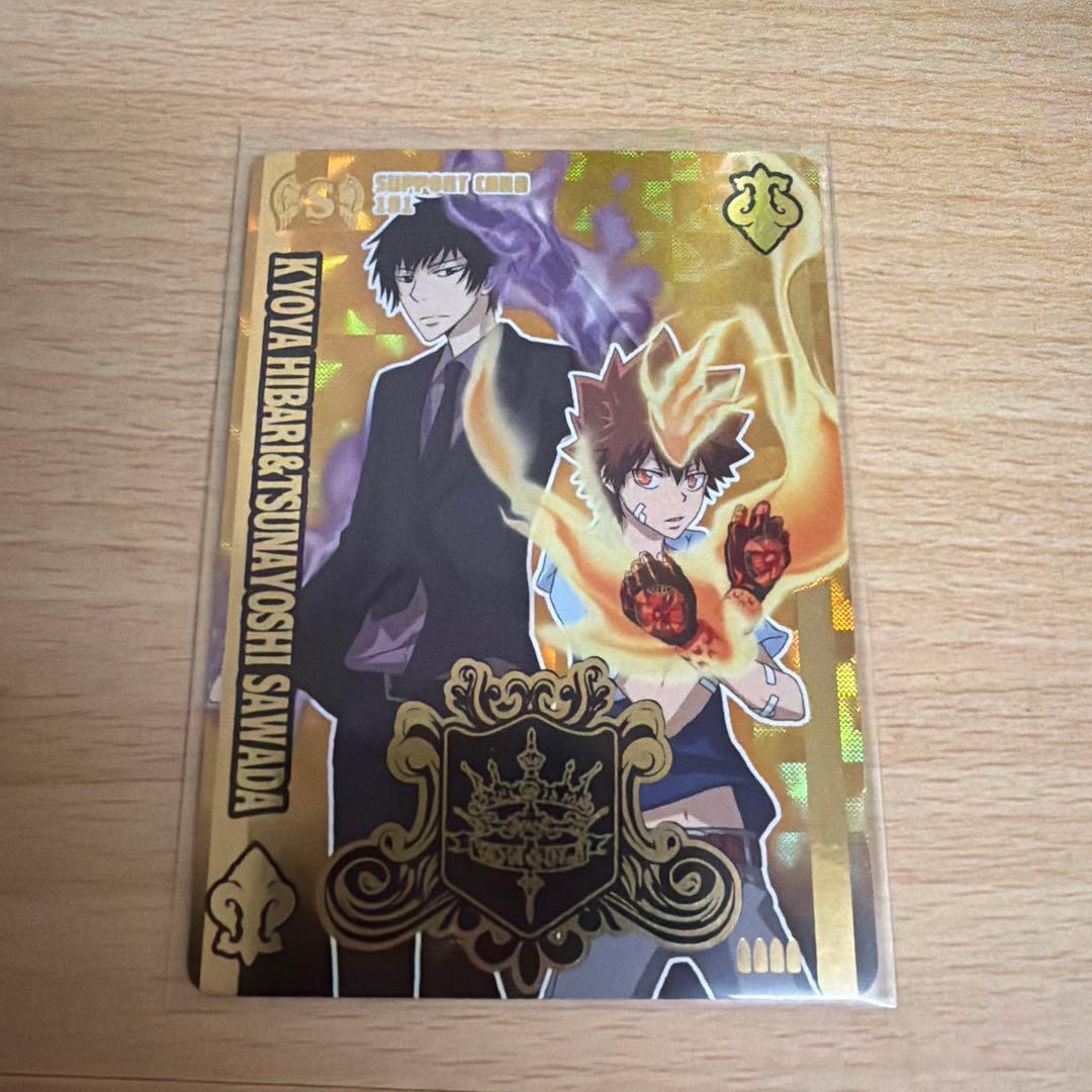 家庭教師ヒットマンREBORN サザンクロスバトル MVR 沢田綱吉 - メルカリ