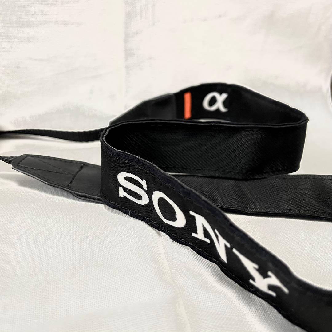 美品】SONY α6400 シルバー(ショット数1278枚) 本体のみ - メルカリ