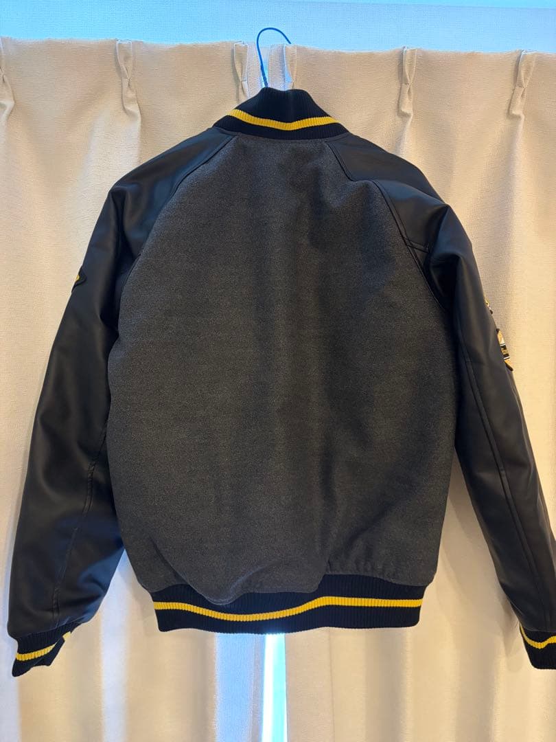 阪神タイガースFCダイヤモンドプラス会員特典・セミオーダースタジアム