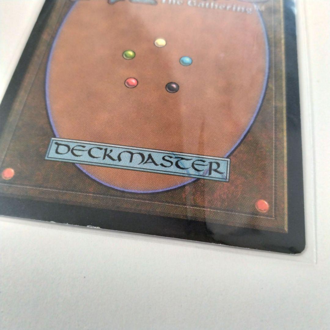 輪作 MTG マジックザギャザリング 日本版 foil