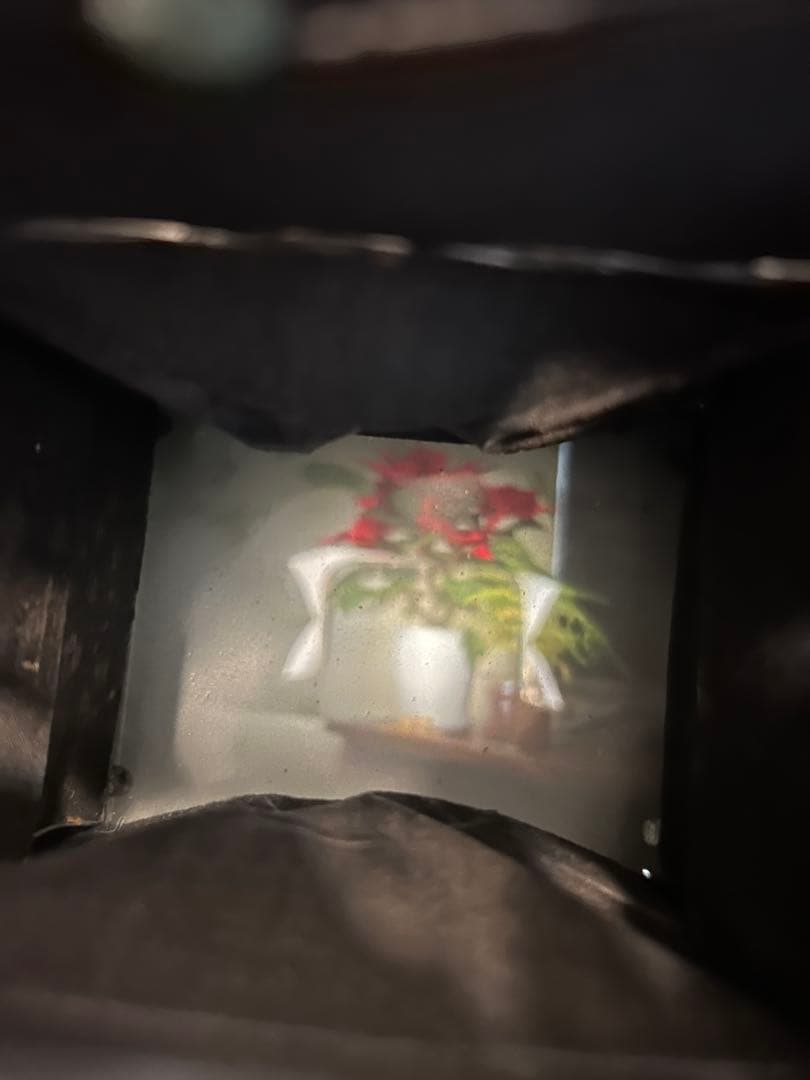 【激珍品レンズ】 テッサー 16.5cm f2.7 &ミロフレックス蛇腹カメラ