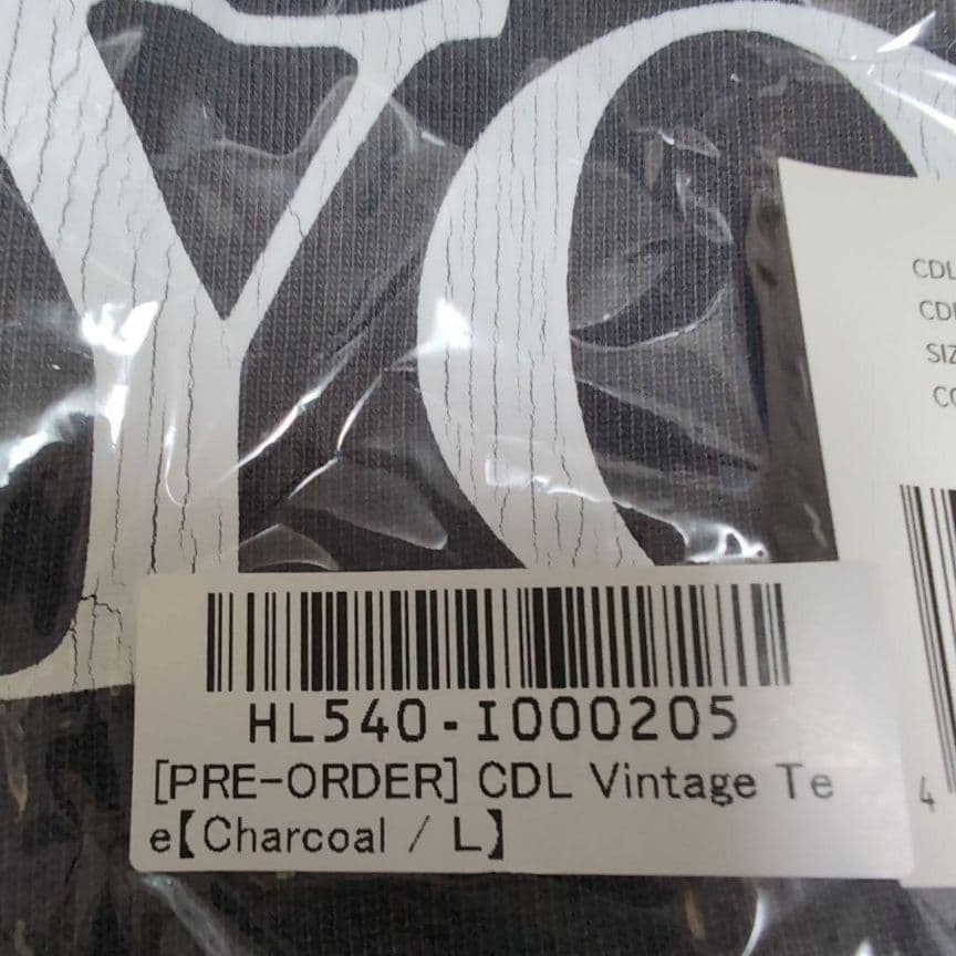 CDL Vintage Tee チャコール Lサイズ 登坂広臣 ØMI