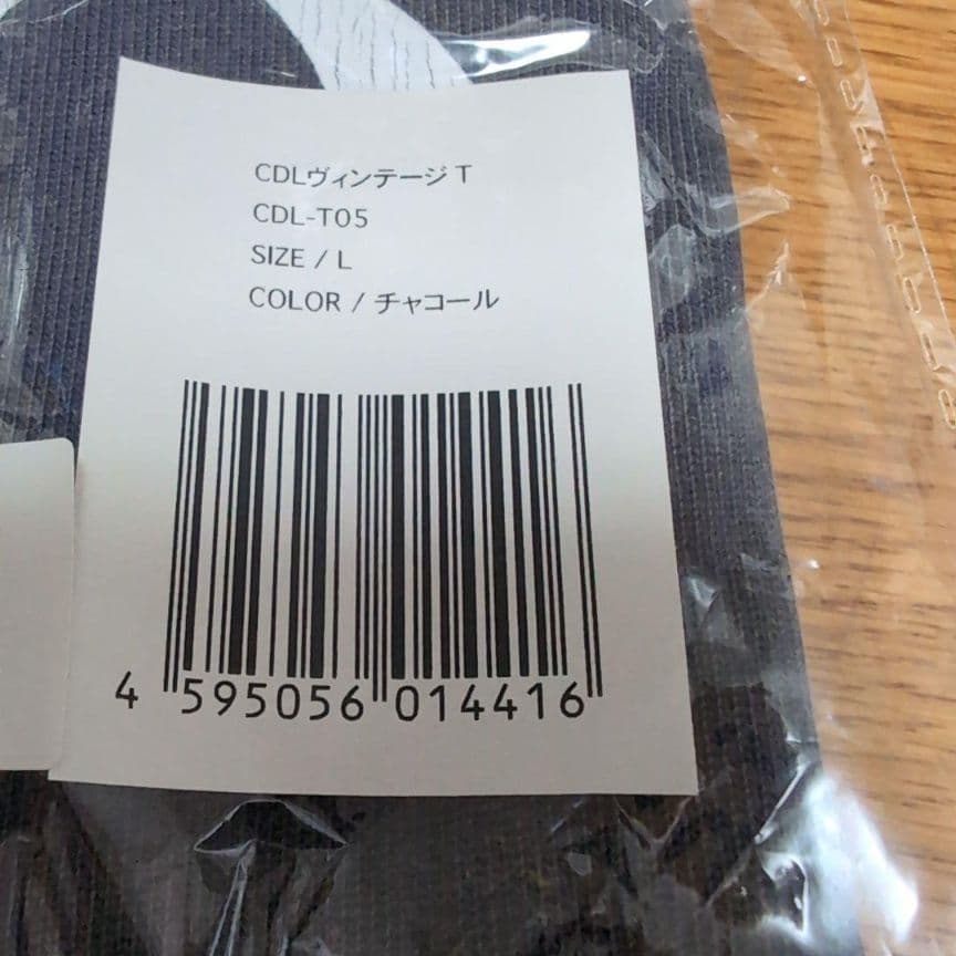 CDL Vintage Tee チャコール Lサイズ 登坂広臣 ØMI