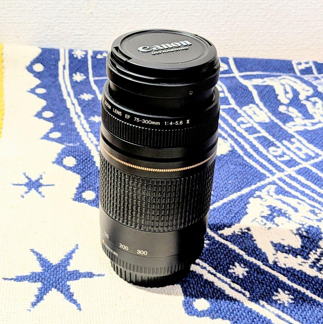 レンズ(ズーム) Canon EF 75-300mm F/4-5.6 II USM