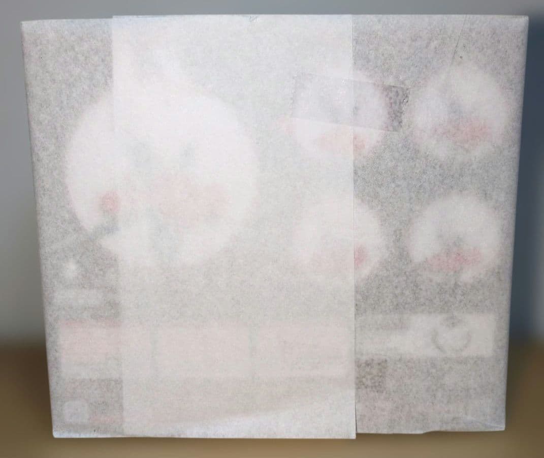 ねんどろいど ホロウナイト シルクソング ホーネット　新品未開封