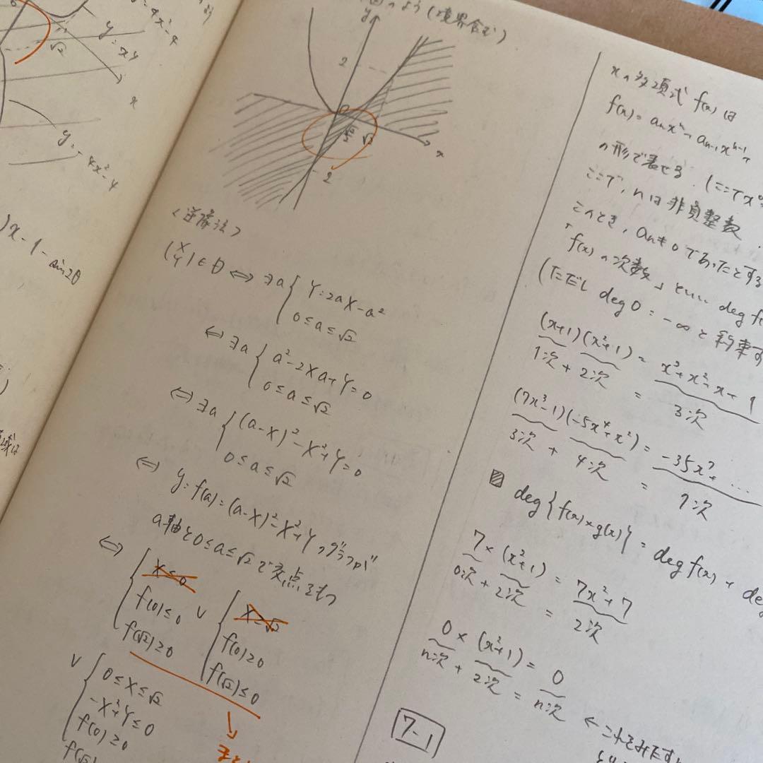 綺麗な板書完備】東進テキスト 数学の真髄基本原理追究編文理共通 通年
