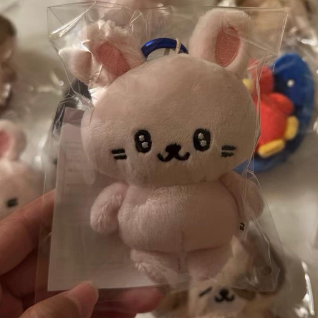 SUPER JUNIOR SS10ウニョク ぬいぐるみキーホルダー