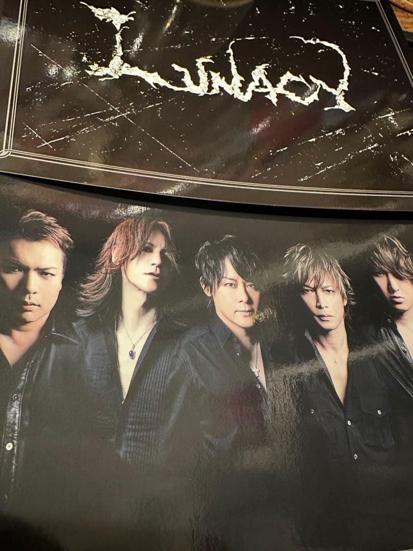 LUNATIC FEST2015 パンフレット★