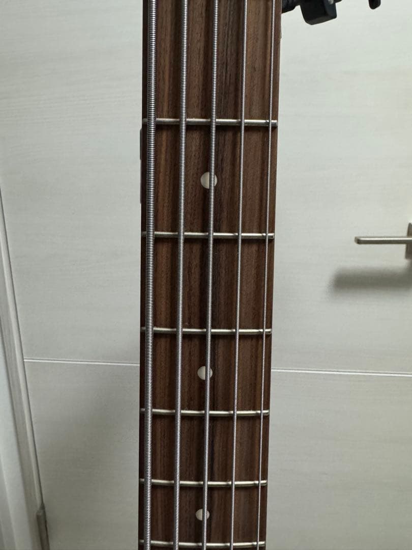 Sadowsky Metroline RS5LE-DLB/MH(ケース付き) - メルカリ