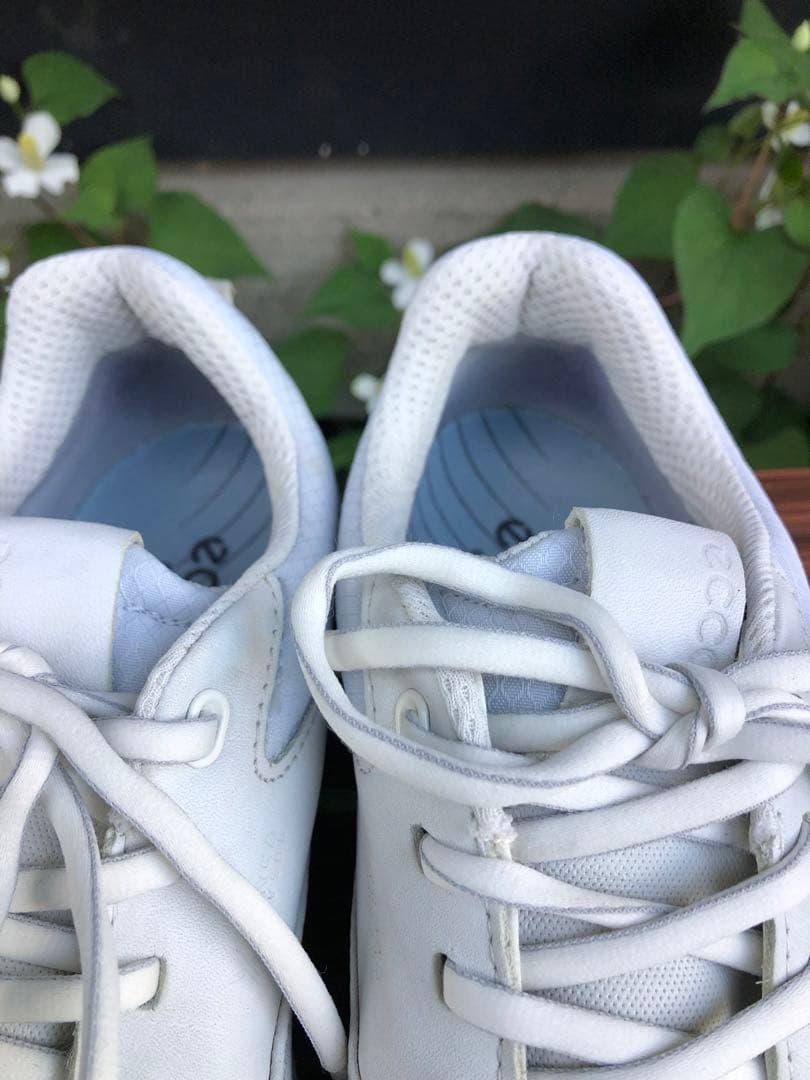 340番 美品 ecco ゴルフシューズ 37 23.5cm スパイクレス