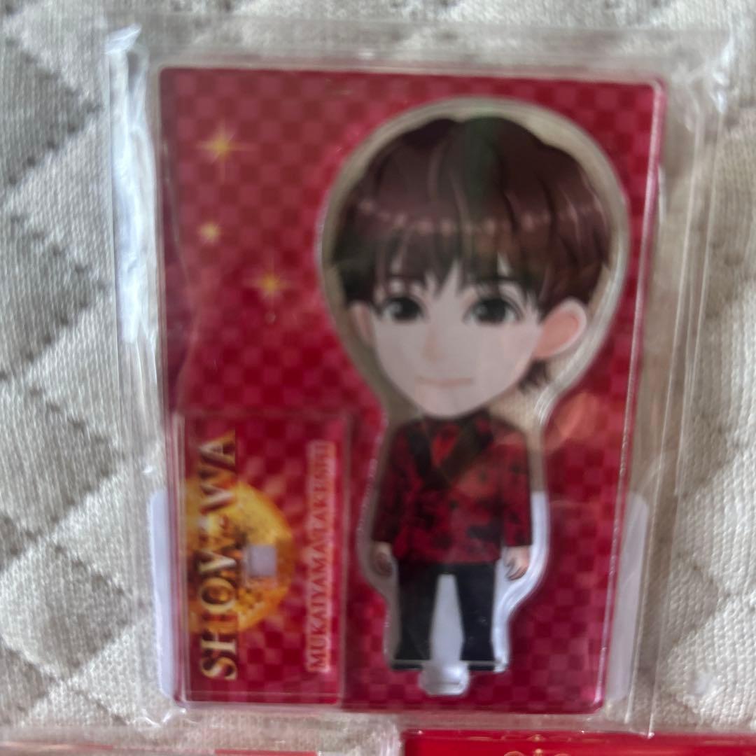 未使用品】SOLIDEMO 向山毅 アクスタ シークレットver 未使用品