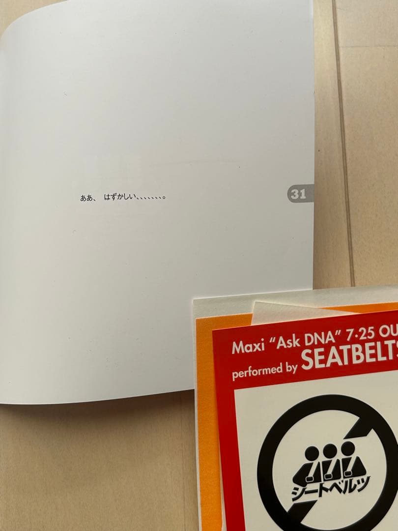 菅野よう子　シートベルツ　ライブ　SEATBELTS パンフレット　坂本真綾