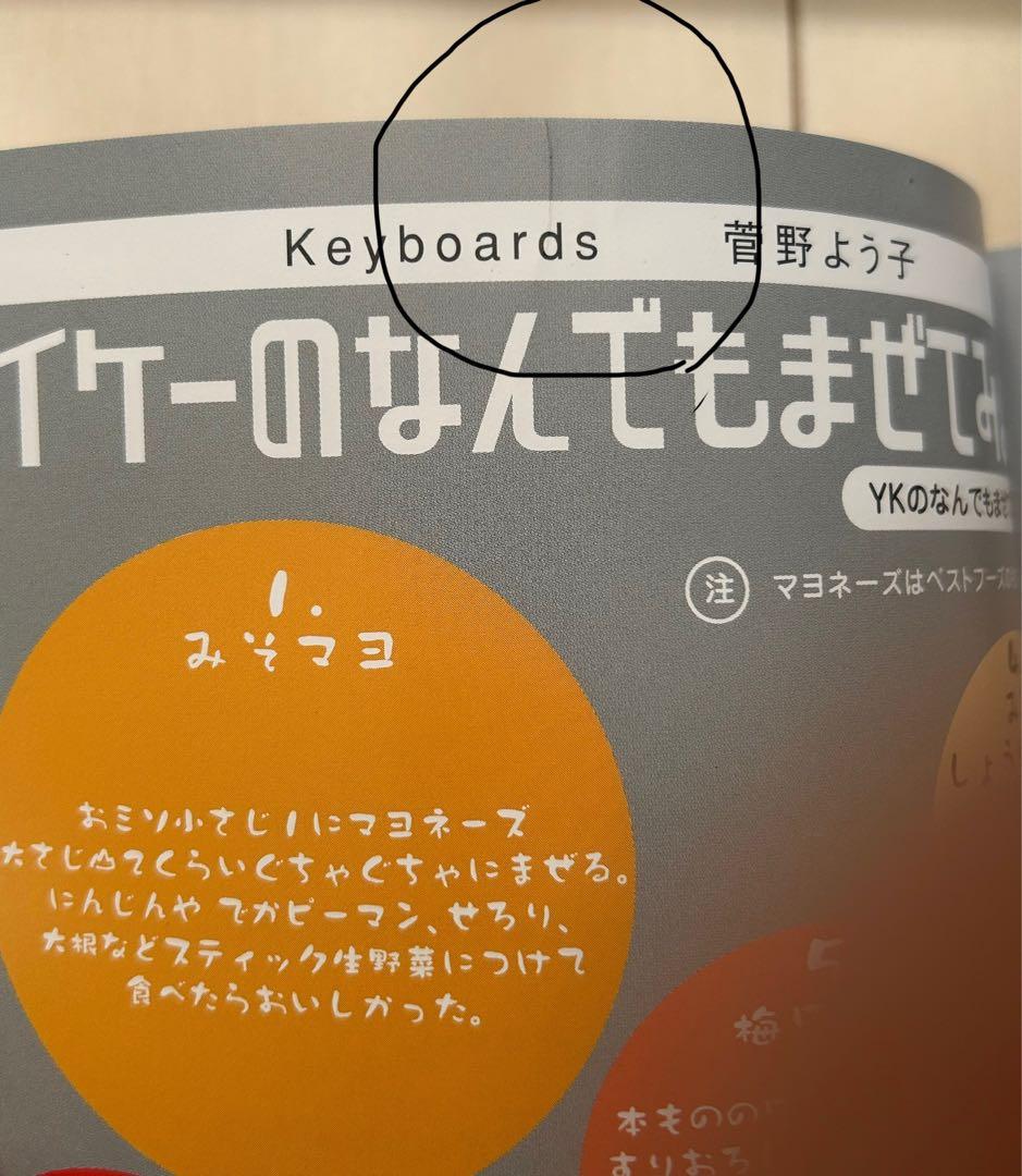 菅野よう子　シートベルツ　ライブ　SEATBELTS パンフレット　坂本真綾