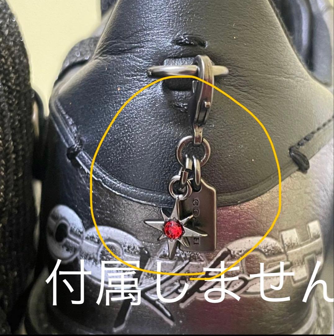 コーチ × 水原希子 コラボ 厚底 スニーカー 23cm 限定モデル - メルカリ