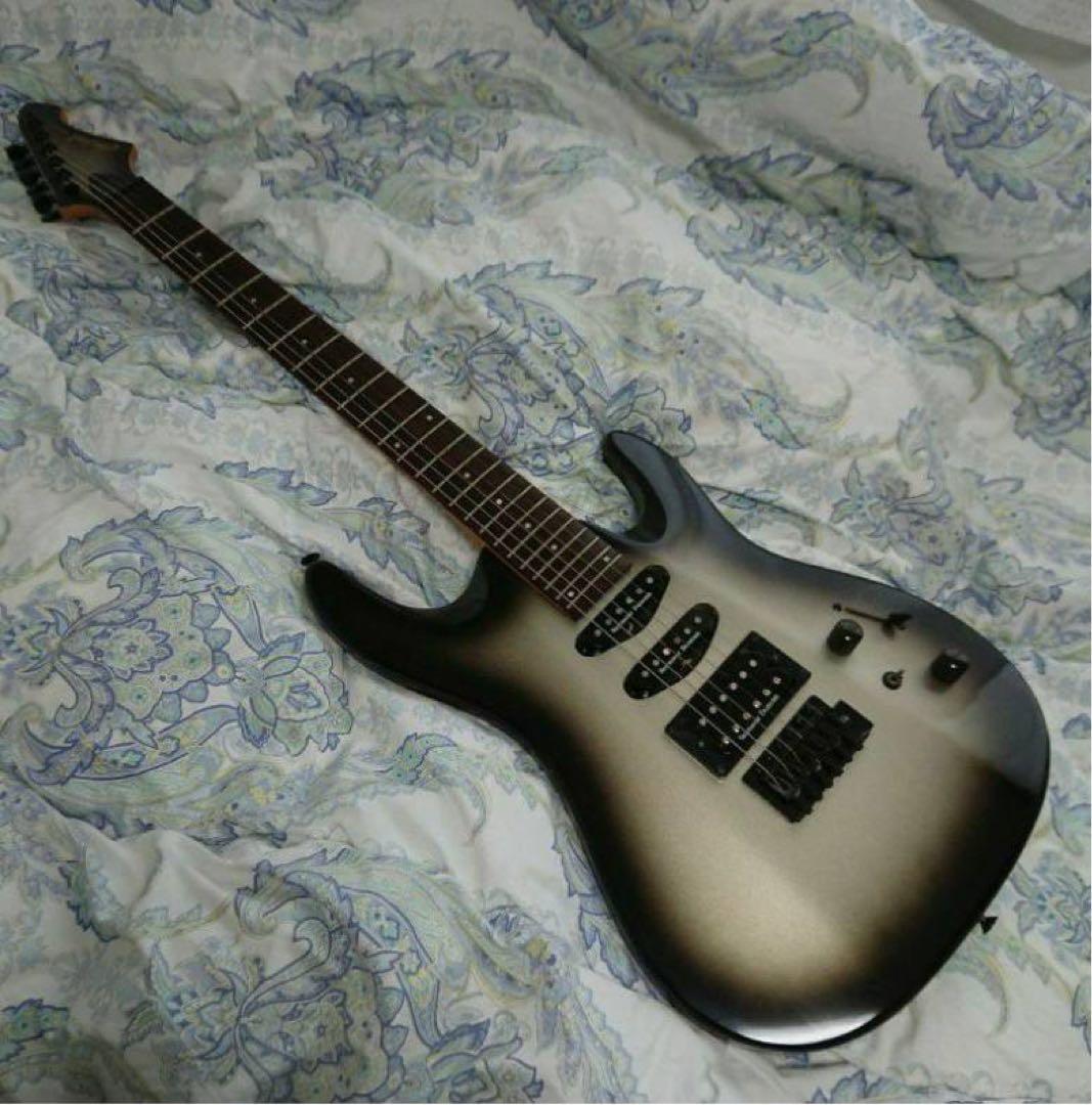 エレキギター【AriProⅡ MAGNA series】